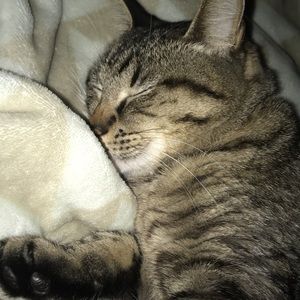 Meet your Posher, Joy